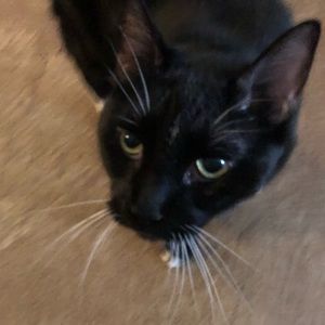 Meet your Posher, Austin